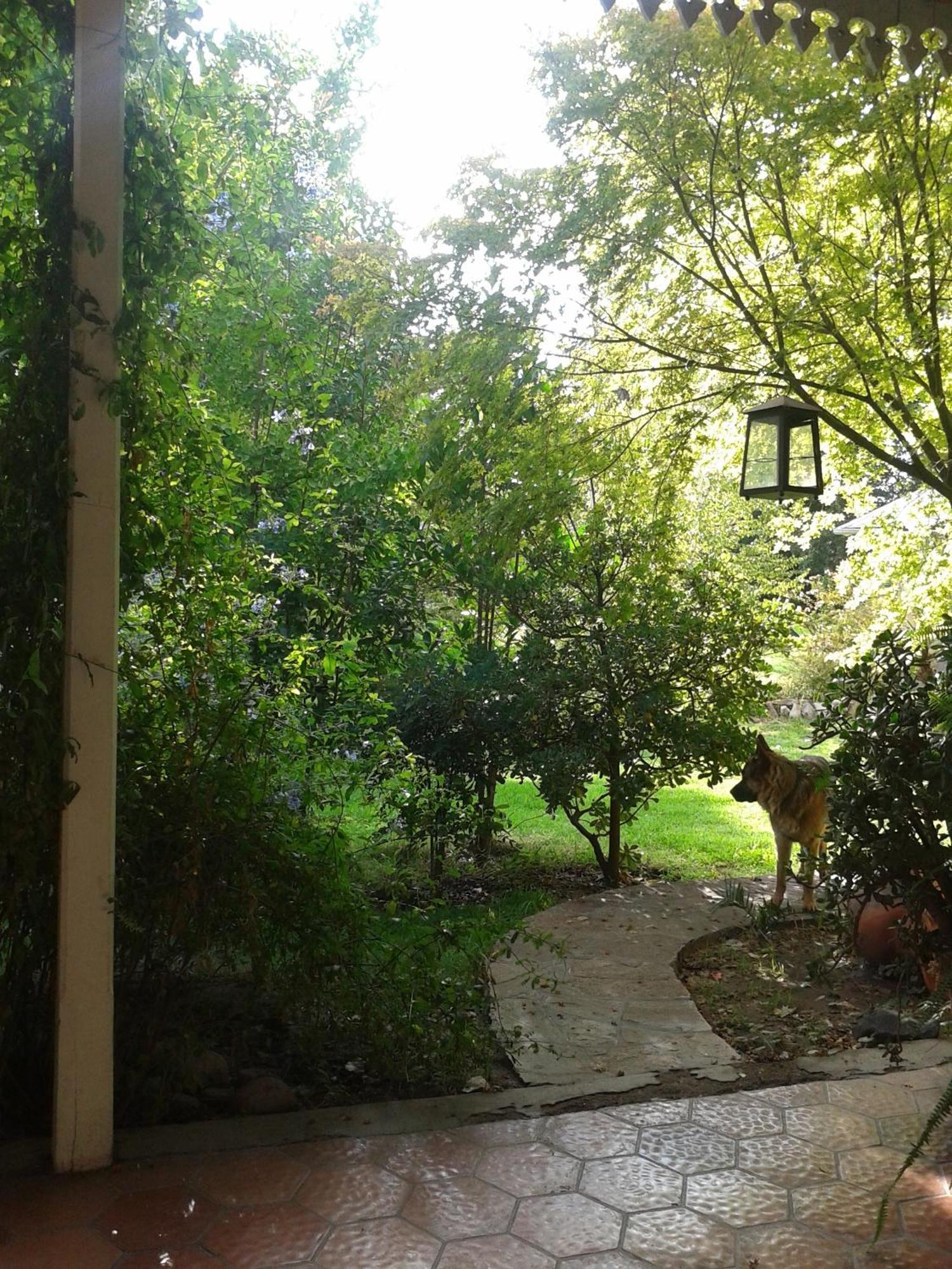 Casco El Trapiche Bed and Breakfast Godoy Cruz Rum bild